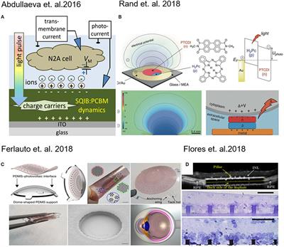 Photogenerated Electrical Fields for Biomedical Applications